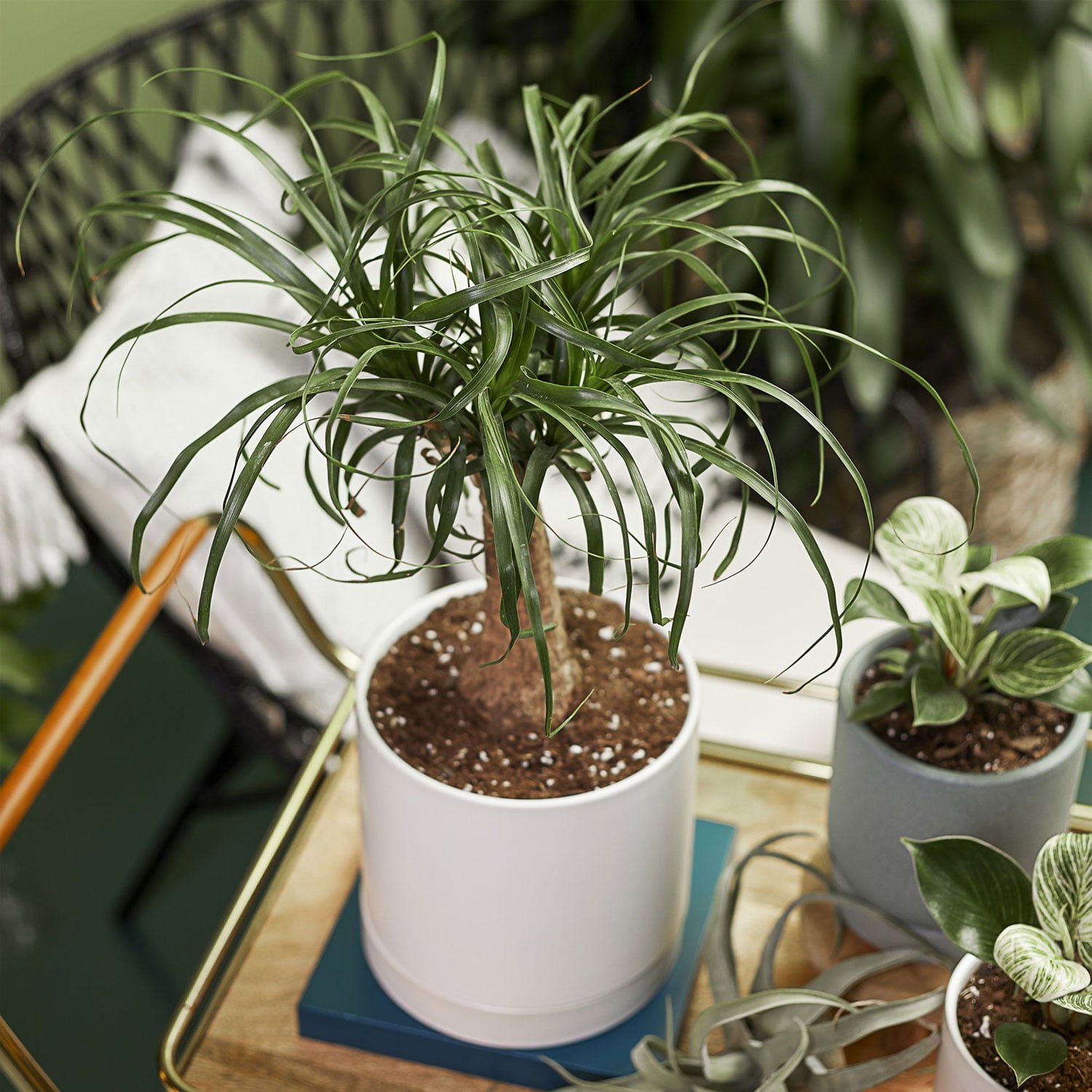 Great Value Organic Ground Cold Milled Flax Seed, 16 oz - Image 2